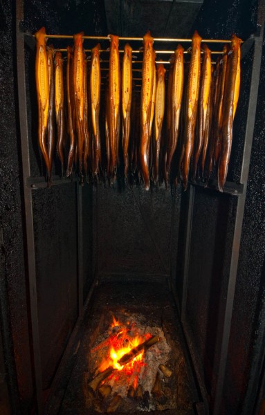 Two-thirds of eels processed in New Zealand are shortfins—here being smoked for export—but the remainder are longfin eels classified as endangered. 