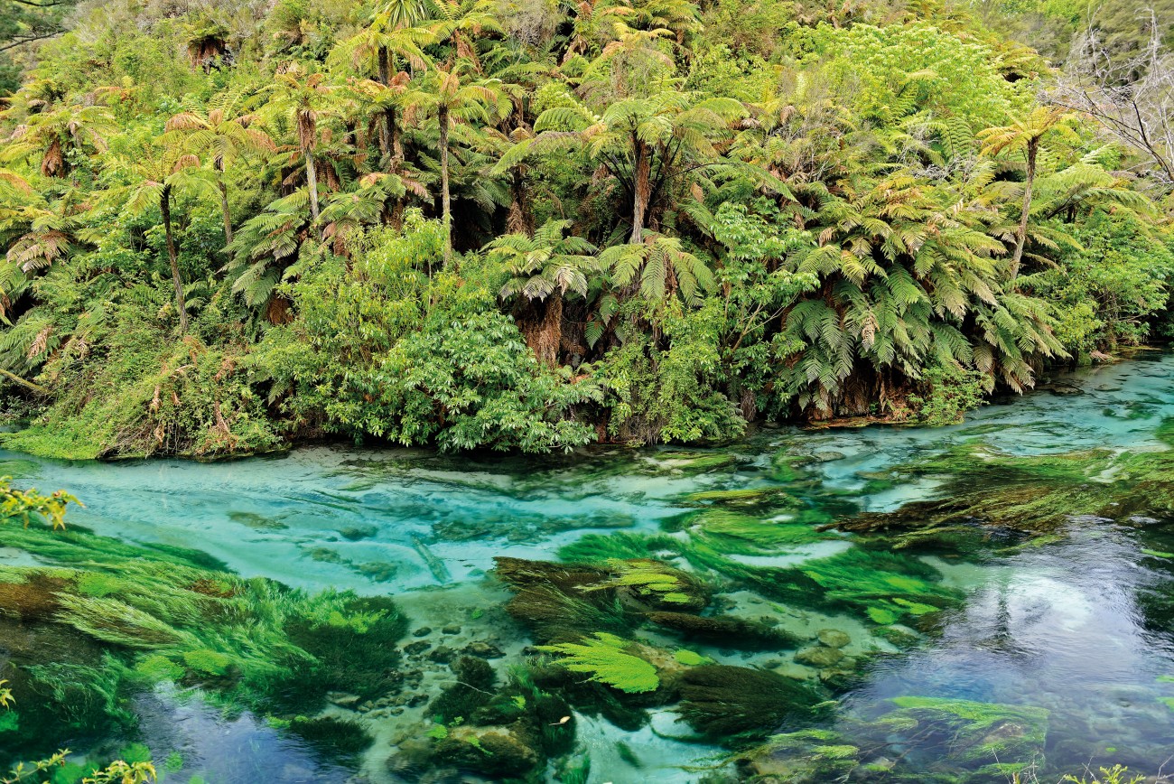 The limpid waters of Blue Spring, near Putaruru, are among the clearest, purest in the world; proof that the water flowing across New Zealand—and particularly beneath it—is still relatively unspoiled. Rivers flowing out of conservation lands remain in good health, and trampers can still scoop a handful of healthy water from many streams. We are, after all, an aquatic nation: to be a Kiwi is to be in, on and around water. The fouling of the last quarter century can be halted, even turned around, say water managers. But first, minds must be shifted, new priorities set, and every voice heard.