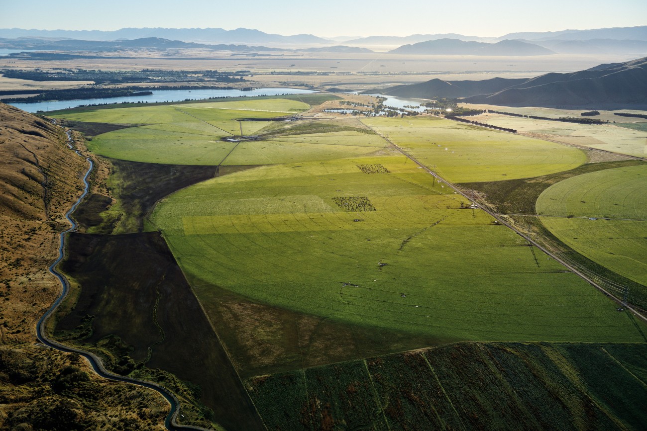 Real-life crop circles scribe the arrival of industrial irrigation in the Mackenzie Basin. Once the iconic preserve of high-country sheep farming, pivot irrigators now keep this driest of inter-montane valleys artificially wet, supporting a conversion from struggling meat and wool production to dairying which enjoys higher returns, for now. A Rabobank report last year warned that such contrived intensification was actually costing New Zealand farmers the advantage they once leveraged through a ‘clean green’ pasture-based brand.