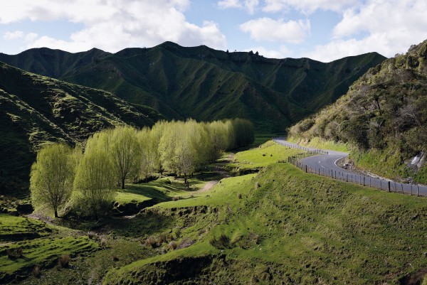 131_forgottenhighway_bodyimage The Forgotten World Highway winds up Paparata Saddle before descending into Tangarakau Gorge, where the landscape changes from farmland to dense native bush. The five saddles between Taumarunui and Stratford proved a challenge for settlers, and mud often made the road impassable during winter.