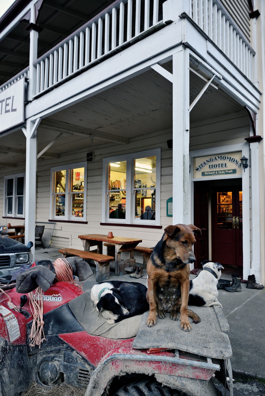 Fifteen kilometres up the road, locals enjoy a Friday night at Whangamomona Hotel. Muddy boots and dogs stay outside. Farmer John Herlihy has his working dogs well trained: “They know I won’t be long.”