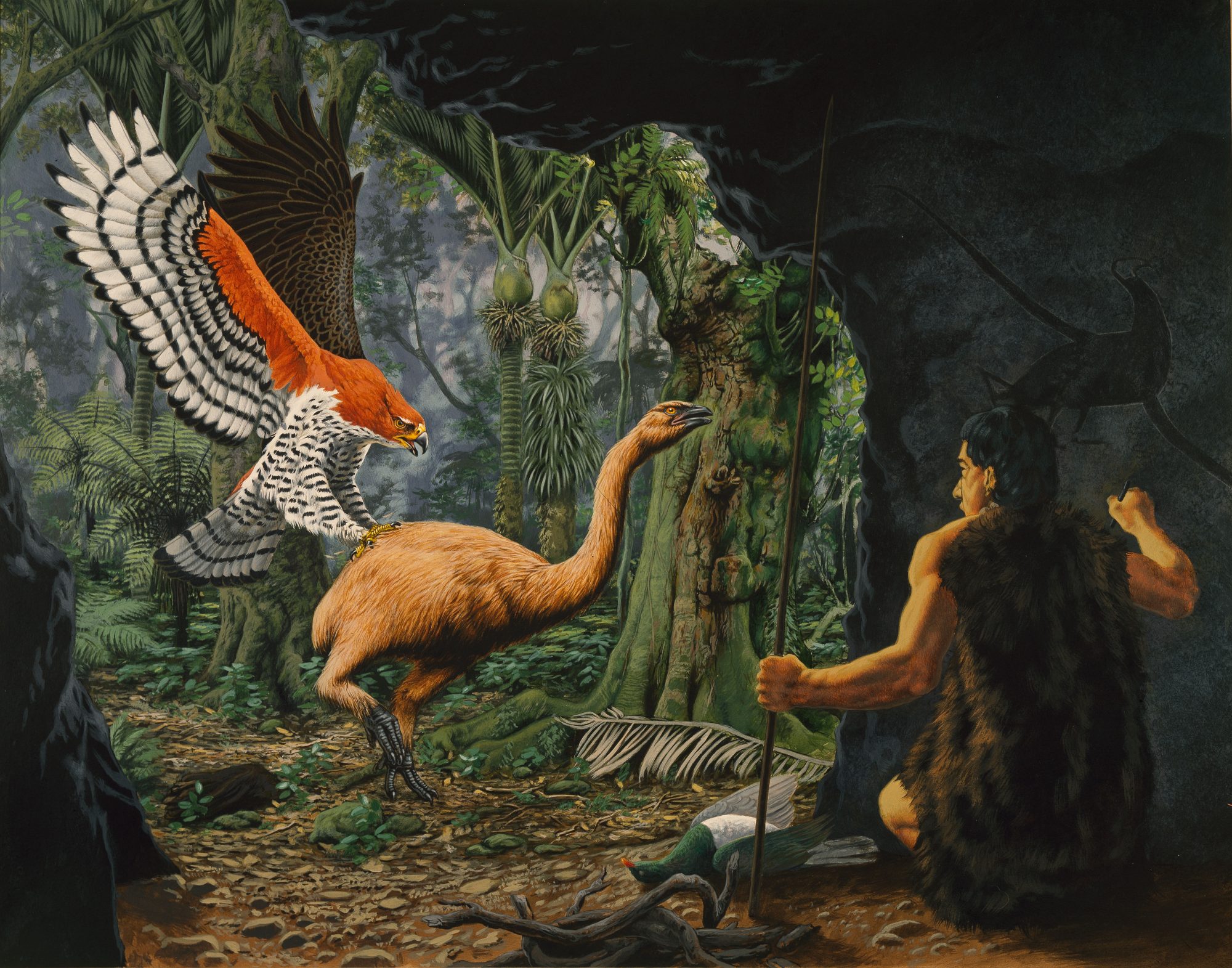 Webster s Science And Nature Birds Of Prey Haast s Eagle