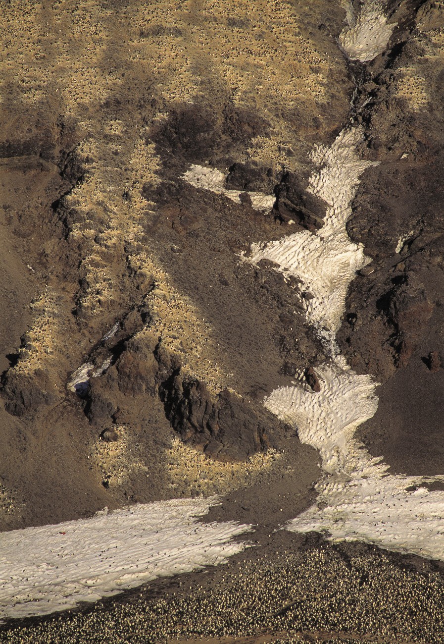 At Cape Adore, near the western entrance to the Ross Sea, rocky outcrops prevent the accumulation of ice, resulting in large areas of bare ground in summer.