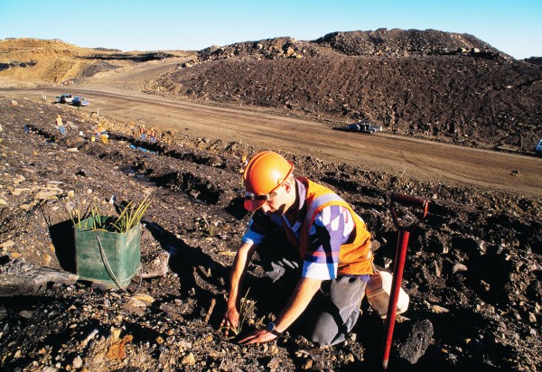 Today’s laws require that mine sites be rehabilitated once coal extraction is complete, and four million native trees and shrubs will eventually be planted at Stockton. 