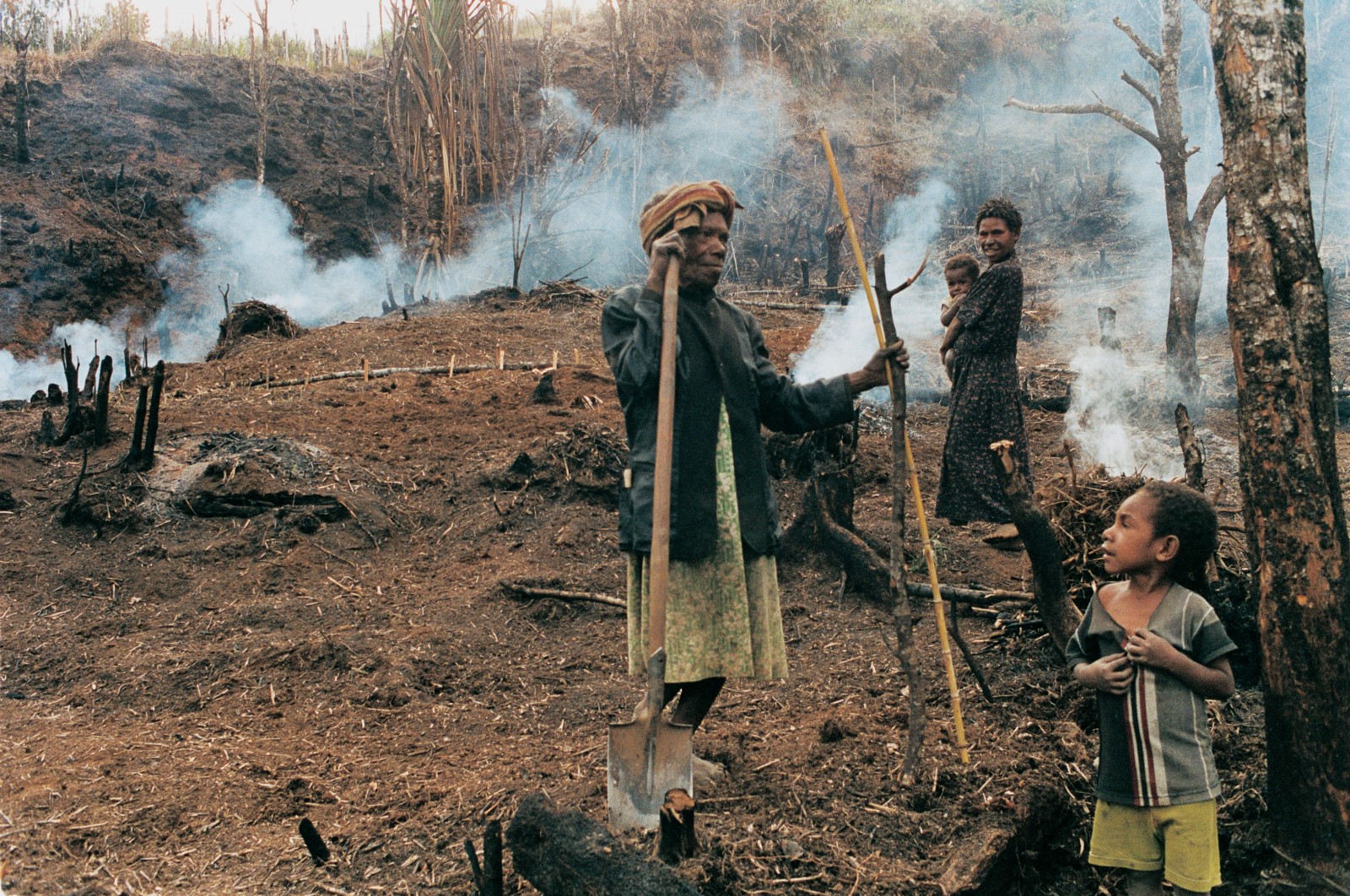 A family in Daulo Pass, in the forest of Papua New Guinea’s Eastern Highlands, ekes out a subsistence living using ancient slash-and-burn techniques. Development programmes can bring more sustainable agricultural practices that yield a better living for local people.