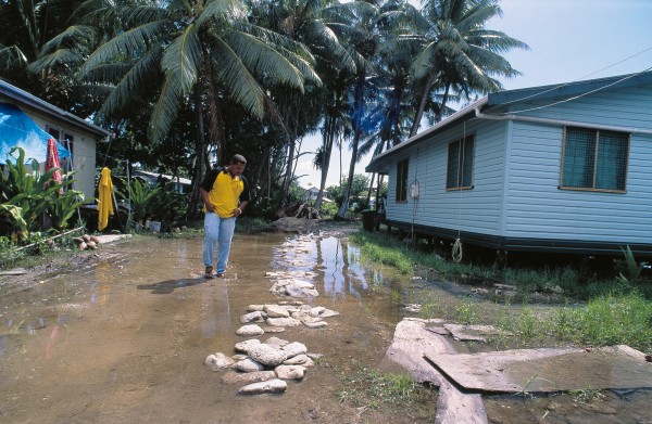 High spring tides bring regular flooding by fresh water to inland areas of Fongafale (top)— something that didn’t happen 20 years ago. Proof of rising sea levels? More likely the result of changes in the island’s hydrology, say experts, citing the absence of similar floods on other islands in Tuvalu. Bottom: Nanumea and the other outer islands have retained a more traditional character than Funafuti. Pandanus-thatch houses are common, the economy is more subsistence-based, and bicycles— like the one carrying this pair to the Easter Sunday church service—are the main form of transport.