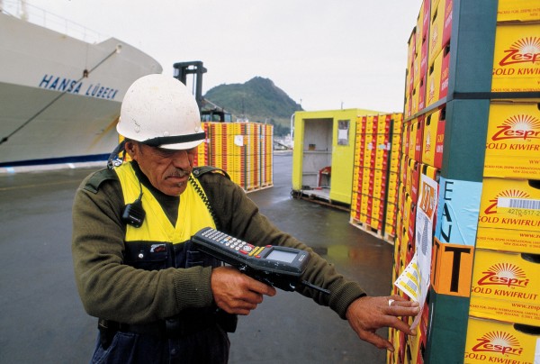 In 2004, 78 million trays of kiwifruit—69 shiploads—were exported from the Bay of Plenty via the Port of Tauranga to 44 countries. Every fruit is tracked from vine to store.