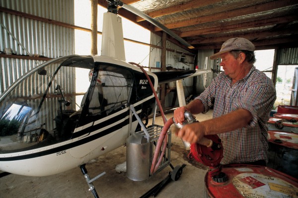 Colin Nimmo’s predecessors relied on mules, horses and shanks’s pony to get around the hill country of the middle Clarence, but Colin does much of his farm work using a helicopter. He even takes his dogs aloft—in a cage bolted to one of the skids. It is dry country, much of it infested by sweet briar, and the stocking rate refl ects the poor pasture quality: less than a stock unit per hectare.