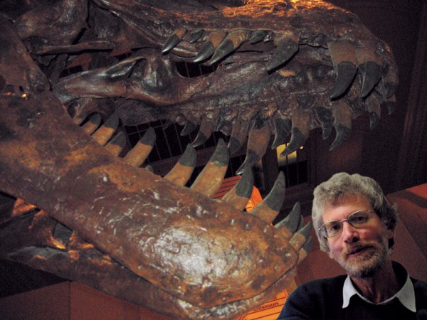 A contrast between top predators in the Mesozoic and Cenozoic could not be more vivid than in this comparison of skull sizes between Tyrannosaurus rex and editor Warren Judd. Big, mean and hungry was the successful template for the top job in the age of the dinosaurs, but evolution produced an entirely different solution for the mammals. In terms of economy, a large brain is an expensive organ needing a lot of fuel, but that requirement is trivial compared to the energy needs of a super-sized reptile.