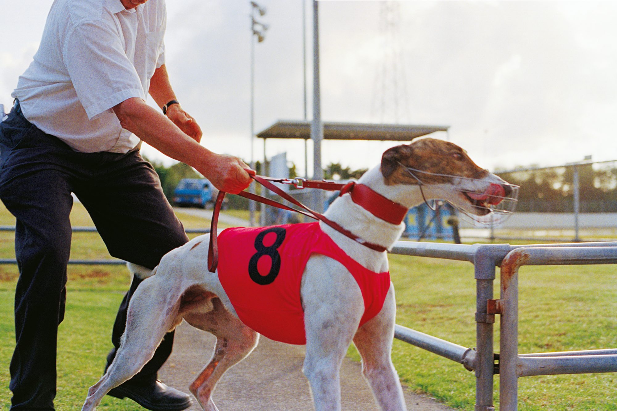 Greyhound racing clearance coats