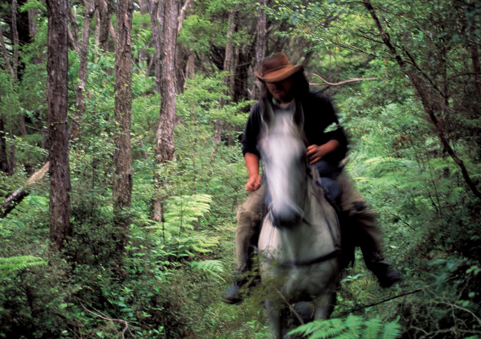 Contemporary Maori tourism enterprises deliver a multitude of experiences for visitors, from hangi to horse trekking, such as this adventure in the East Cape region near Rangitukia.