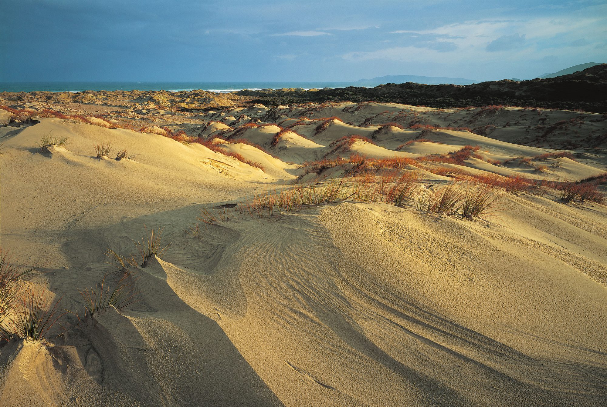 Sand dunes 'communicate' when they move, researchers say - The Washington  Post