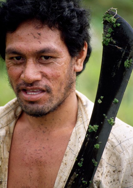 Flecked with sweat and grime, a labourer pauses between slashings.