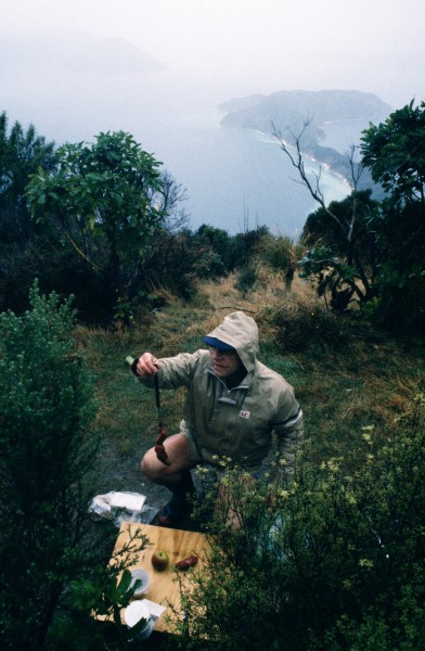 Maud Island, in Marlborough Sounds, is home to six kakapo, five of which have free range of the island. At a feeding station Don Merton prepares food as part of a supplementary feeding programme designed to increase the likelihood of females breeding each year, instead of every four to five years. Every item of food is weighed and recorded so that scientists can assess the most effective diet for the birds.