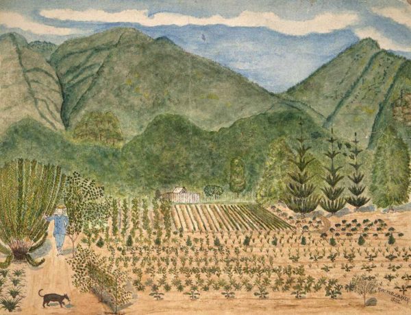 19_Kerms_10 Thomas Bell reportedly grew 54 species of exotic fruit and vegetables, including pawpaws, pineapples, pomegranates and 14 varieties of bananas, in his extensive gardens at North Beach. However, drought, cyclones and rats were constant adversaries as he carved out his kingdom from the wilderness.
