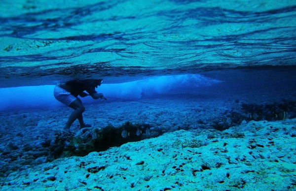 Spear-wielding diver "moon-walking" across the coral attempts to supplement the ocean fish catch with colourful reef-bugging species.