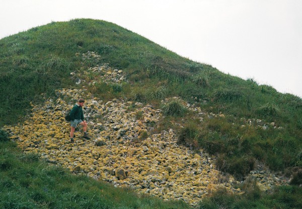 A desolate patch of rocks near the crest of Stephens Island is the only location in which Hamilton's frog has ever been found: the bolt-hole of a species. Much more suited to the amphibious disposition is the lush verdure of Karen Eggers' native frog study site in Whareorino Forest west of Te Kuiti-home to two recognised species of native frog and maybe a third new species.