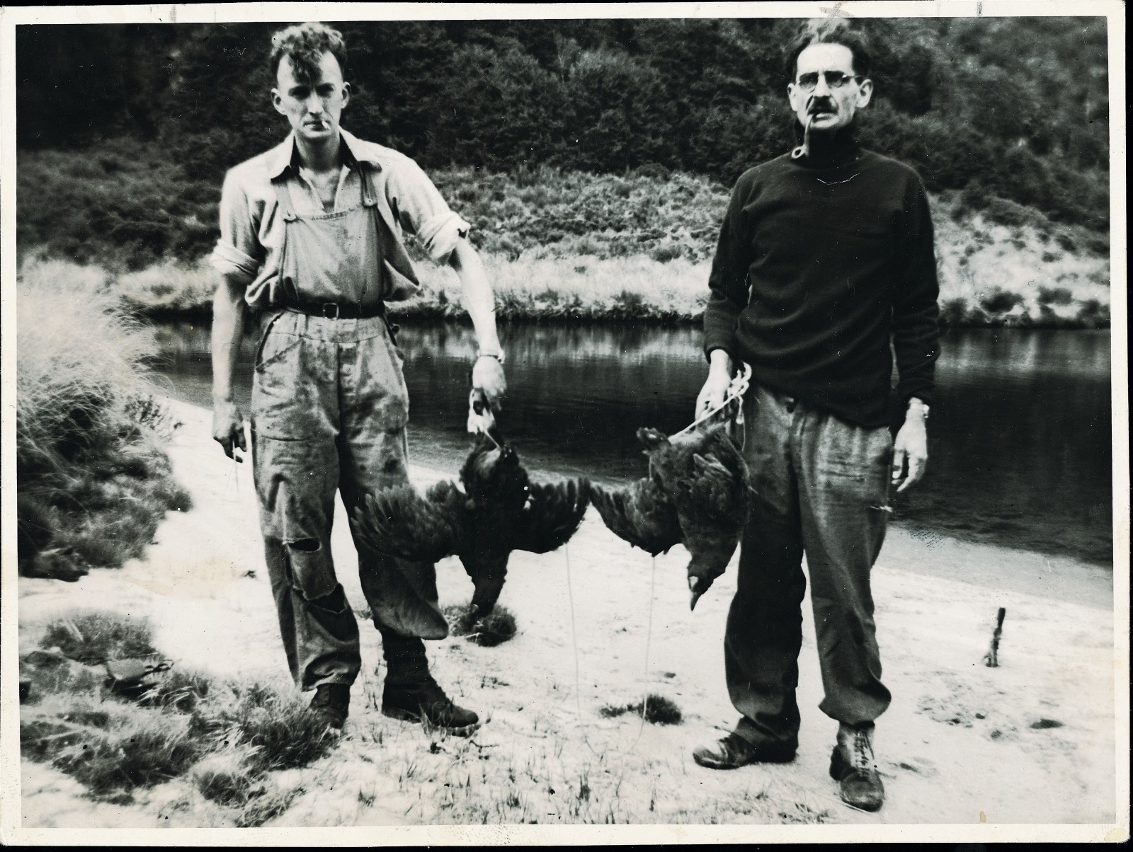 When Dr Geoffrey Orbell, a keen ornithologist and hunter with a lifelong interest in finding a living takahe, captured movie footage of the species and came up with images of himself and fellow-hunter Neil McCrostie nonchalantly holding a pair of live takahe in 1948, the discovery made world headlines. Along with cattle, fat lambs and Foveaux Strait whalers, the takahe was placed on stamps (above) commemorating the centennial of Southland in 1956.