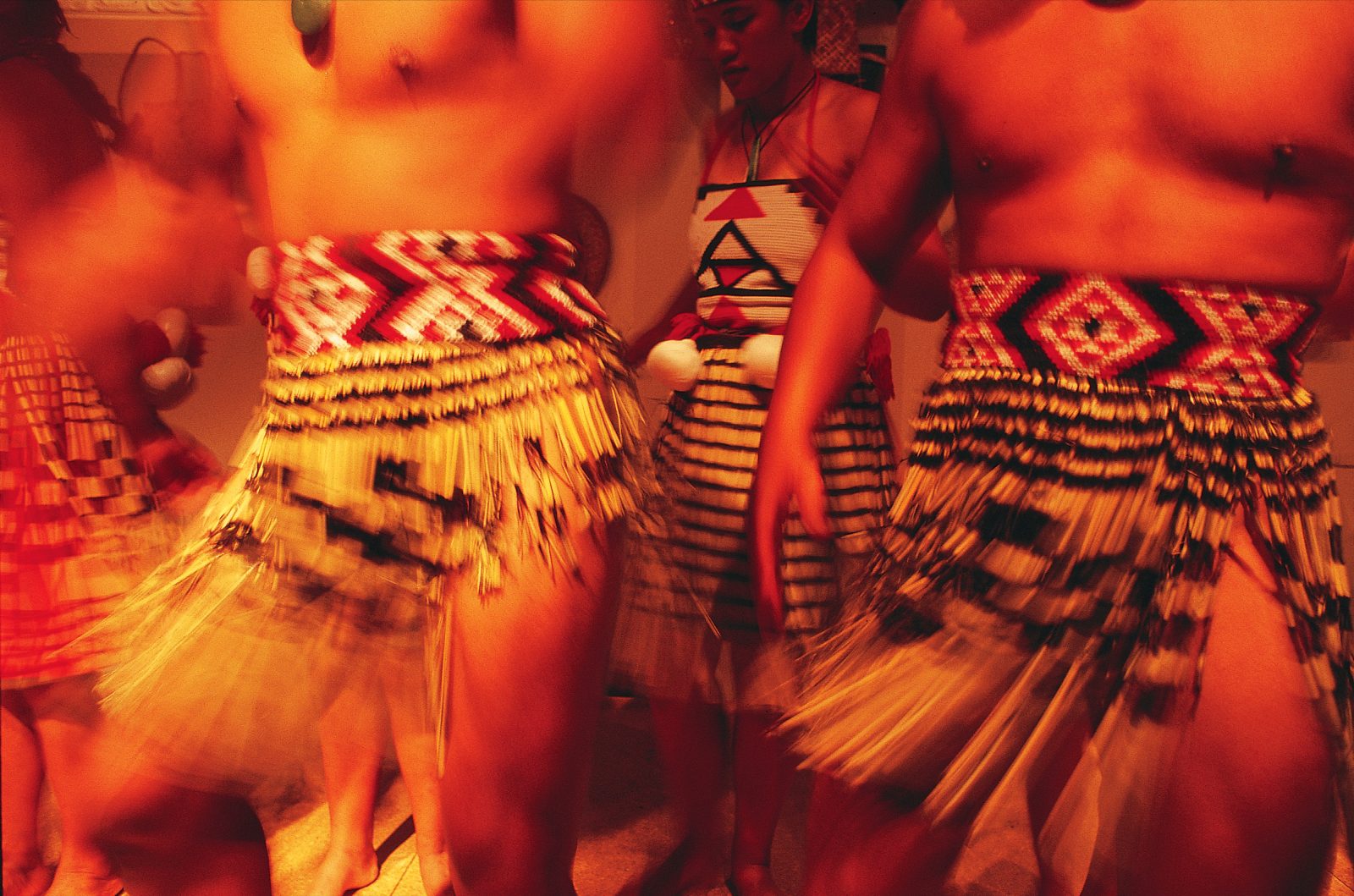 42_Flax_01 Harakeke was the foundation of the traditional Maori wardrobe, crafted into a garment for every occasion. Piupiu, once standard attire for both sexes, were made from dozens of strips of flax, each of which rolls up into a slender brown cylinder when dry. A kilt consisting of such straws would be stiff and unyielding, so while the flax is still green sections of leaf matrix are scraped away to leave only the soft inner fibres—later dyed black—which enable the garment to swirl gracefully (the meaning of the word "piupiu") as the wearer moves.