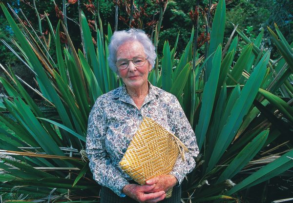 Concerned at the disappearance of these traditional cultivars, Rene Orchiston of Gisborne established a collection of more than 50 flax varieties sourced from over much of the North Island, which she later donated to the government. Over the past decade the collection has been widely planted by Landcare Research.