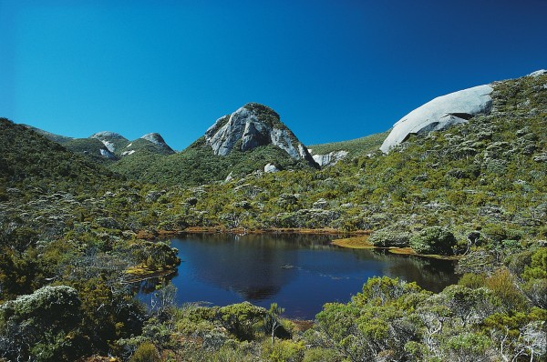 Still days, though rare in the Tin Range, lend an allure to a landscape of hillock, bush and tarn. Much of the original forest of the area was burned by miners to facilitate travel to the claims.