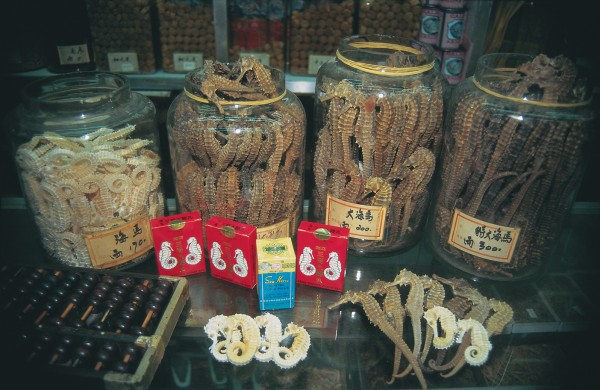 Medicinal use of seahorses, particularly in traditional Asian remedies, has exerted enormous pressure on seahorse populations around the world. In 1995, an estimated 20 million seahorses (some 56 tonnes) were harvested, for sale in various forms in major trading centres such as Hong Kong. The recent upturn in the Chinese economy has led some seahorse traders to observe that demand is "unlimited." Seahorse stocks, however, are not.