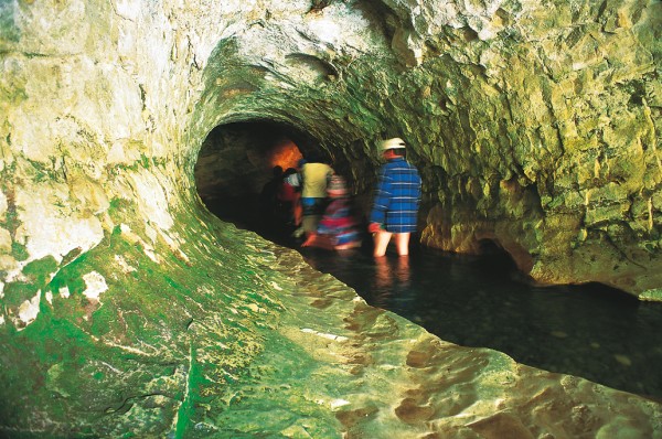 Above its confluence with Broken River, Cave Stream passes through a 362-metre natural tunnel which takes most parties a damp and dark hour to negotiate.