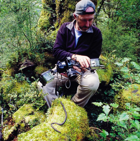 "The small, the unusual and the insignificant have always appealed to me,” says Dunedin-based photographer and film-maker Rod Morris, here photographing a native earthworm in Fiordland. 