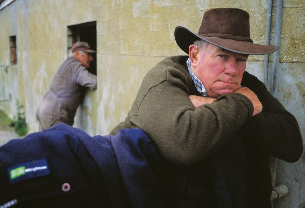 Elsewhere in the area, land use is changing. Around the Patumahoe property of retired dairyman Leo Stopher—here at a cattle auction in Ramarama—once prime acreage is being broken up into lifestyle blocks for ex-city folks. “It’s sad,” he remarks. “They’re not really using the land.”