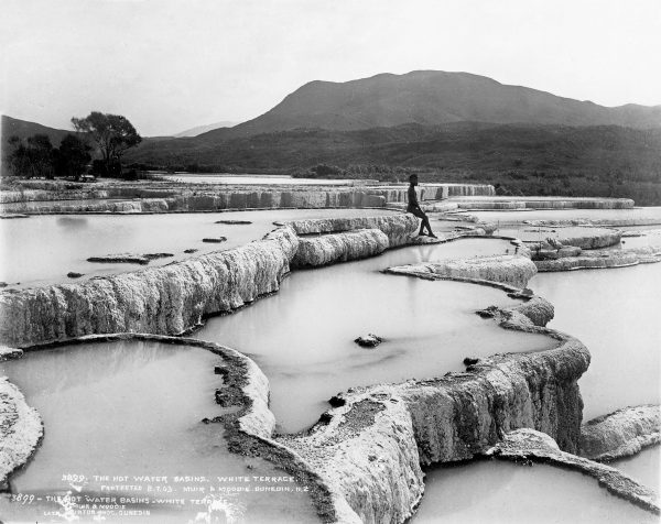 65_MtTarawera_03 Hot water trickling down the White Terrace (Te Tarata) created a range of natural jacuzzi whose temperatures ranged from boiling at the top of the terrace to cold at the bottom. Of the two terraces, the Pink Terrace (Otukapuarangi), with its softer, silkier waters, was preferred for bathing.