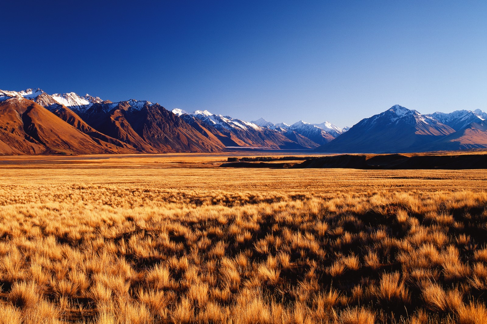 A sea of tussock extends towards the Godley River and the ramparts of Haszard Ridge. From its catchment on the Main Divide and the Godley Glacier, the braided river runs a gauntlet of evocative locations—Slip Gully, Kea Knob, Little Rough, Big Rough and Mistake Peak—to discharge into Lake Tekapo.