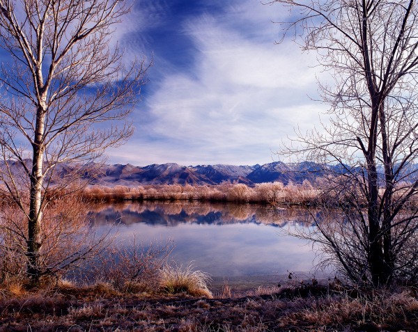 Once common in the Mackenzie Basin, tussock grasslands supporting a plant community of native broom, mat daisies and daphne surround a lock beneath the Ben Ohau Range.