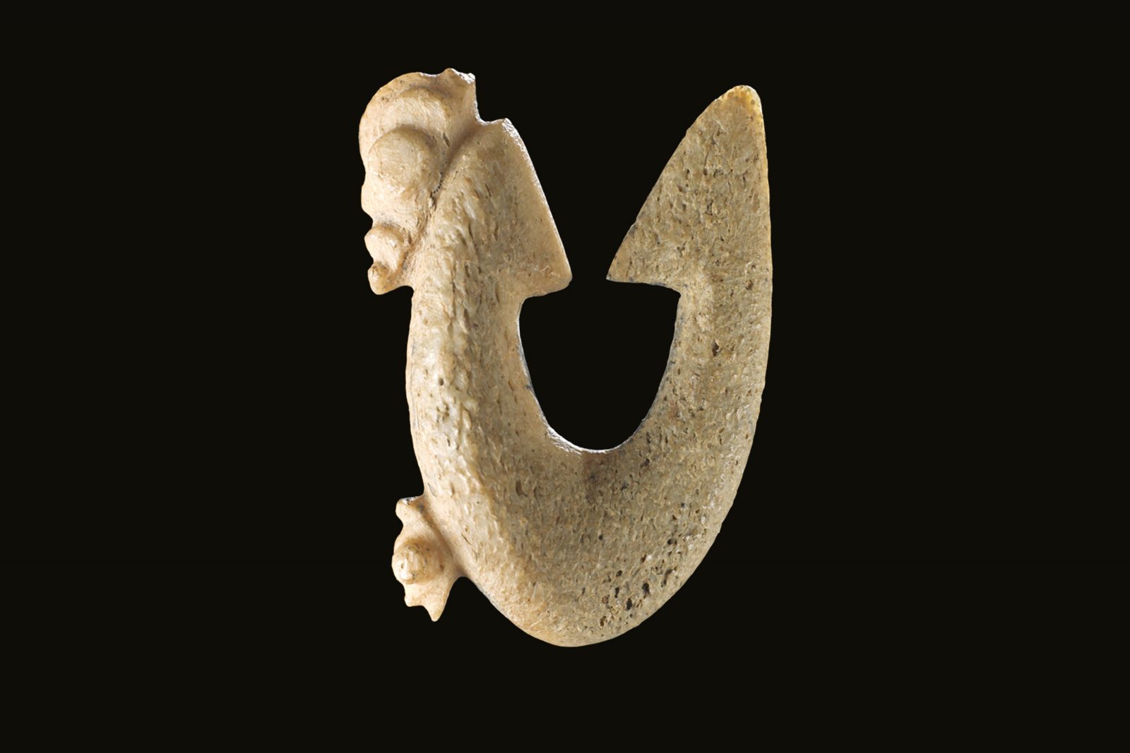 Double internal barb rotating hooks targeted small-mouthed midwater (pelagic) feeding fish such as trevally and tarakihi. Similar bone hooks over 1000 years old are known from sites in North and South America, and some more than 5000 years old in Europe, reflecting similar design solutions to deal with the weakness of the material.