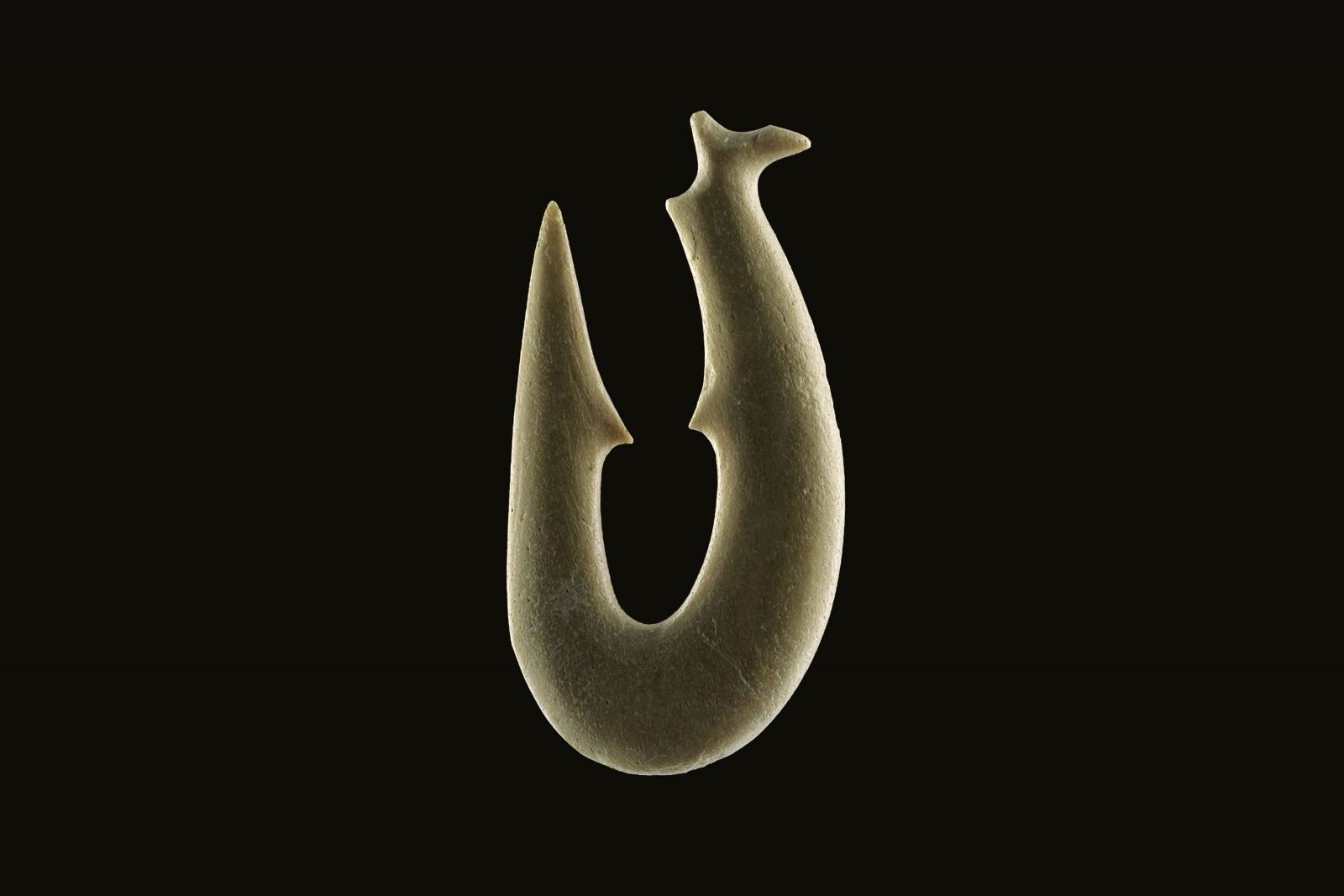 Small one-piece matau are characterised by a forward-directed point which served to guide the fish’s jaw into the “trap” formed by the two inner barbs of the hook, which functioned in the same manner as the single point of a rotating hook. Although large hooks could be made from giant moa or whale bones, the maximum size was determined by the strength of the material required to land a large fish—there are many examples of broken hooks in the archaeological record. Internal barb hooks rarely exceed 35–50 mm in length, while rotating bone hooks rarely exceed 70–80 mm.