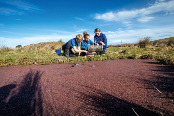Schoolchildren Ben Wratt (above), and Flynn Porter, Jemma Kiernan and Nikita Goodger inspect Canterbury mudfish caught at the farm site they have helped restore and revegetate near St Andrews, South Canterbury. New Zealand’s four species of mudfish are spread between Northland, Canterbury and the Chatham Islands. Their ability to aestivate, or remain alive in mud when their pools dry up during summer, is shared by very few fish in the world.