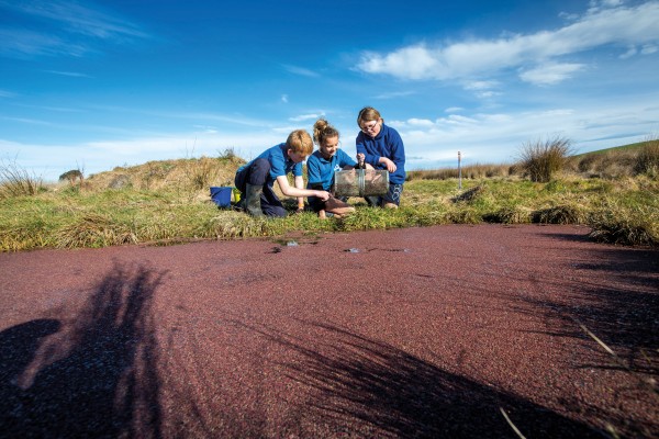 Schoolchildren Ben Wratt (above), and Flynn Porter, Jemma Kiernan and Nikita Goodger inspect Canterbury mudfish caught at the farm site they have helped restore and revegetate near St Andrews, South Canterbury. New Zealand’s four species of mudfish are spread between Northland, Canterbury and the Chatham Islands. Their ability to aestivate, or remain alive in mud when their pools dry up during summer, is shared by very few fish in the world. 