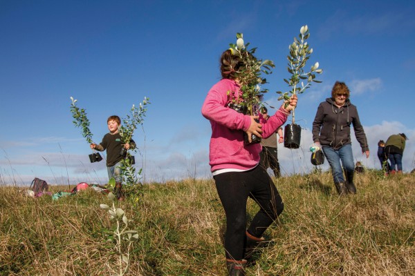 Environmental improvement is firmly on the island agenda, with big turnouts to Department of Conservation tree-planting days. Here children from local schools and kōhanga reo help revegetate Henga Scenic Reserve, on the western coast of Chatham Island.