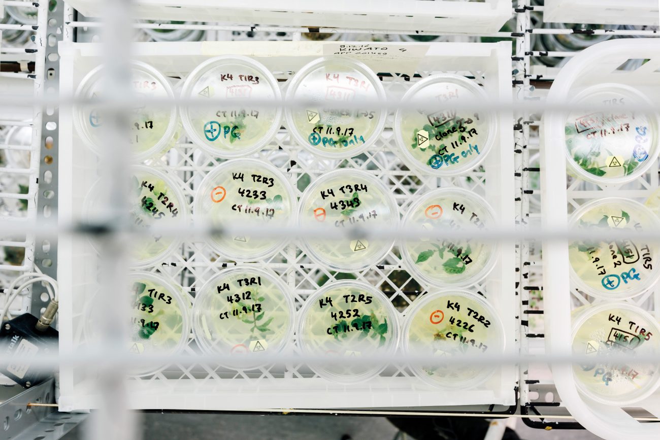 148_geneediting_01