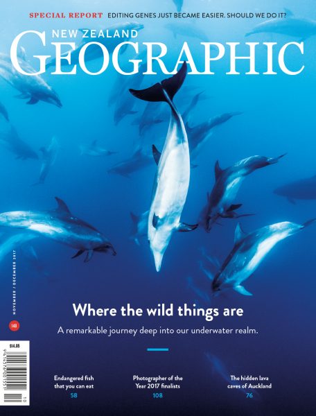 Issue 148 Nov - Dec 2017