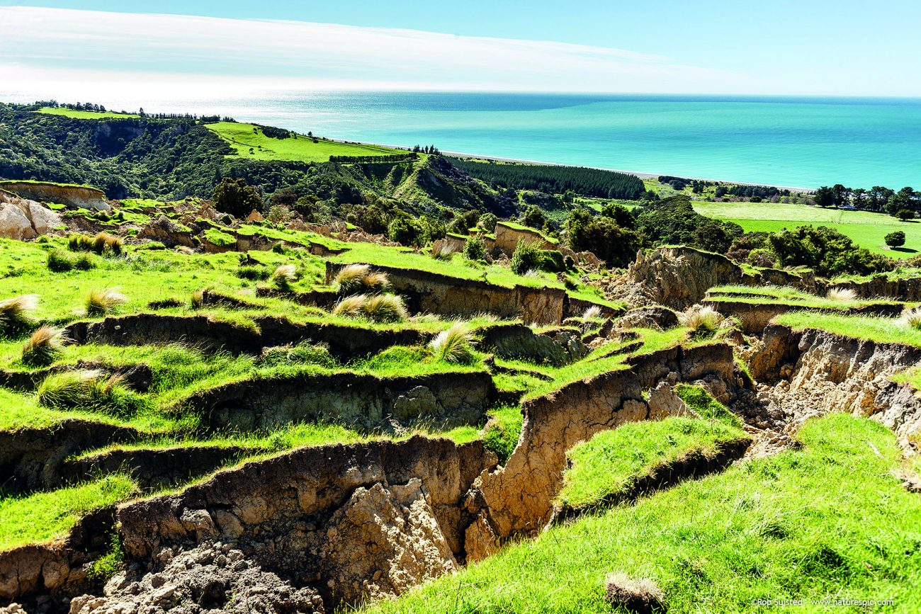 55660ez00-major-landslide-and-slumping-on-waipapa-station-where-the-pāpātea-fault-rupture-has-lifted-land-over-4-metres-kaikōura-m7-8-earthquake-clarence-kaikōura-district-south-island-nz