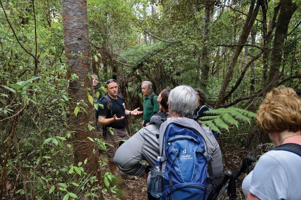 149_Kauri_Dieback_03