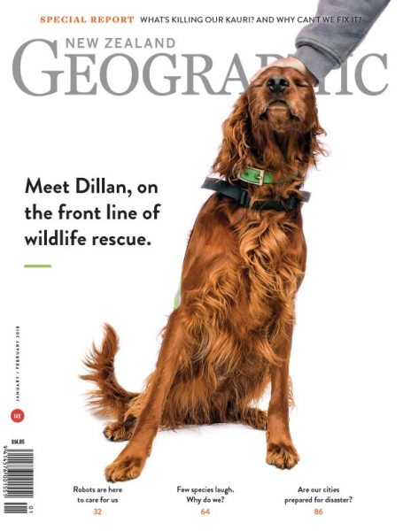 Issue 149 Jan - Feb 2018