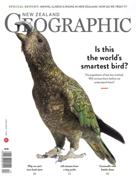 Issue 151 May - Jun 2018