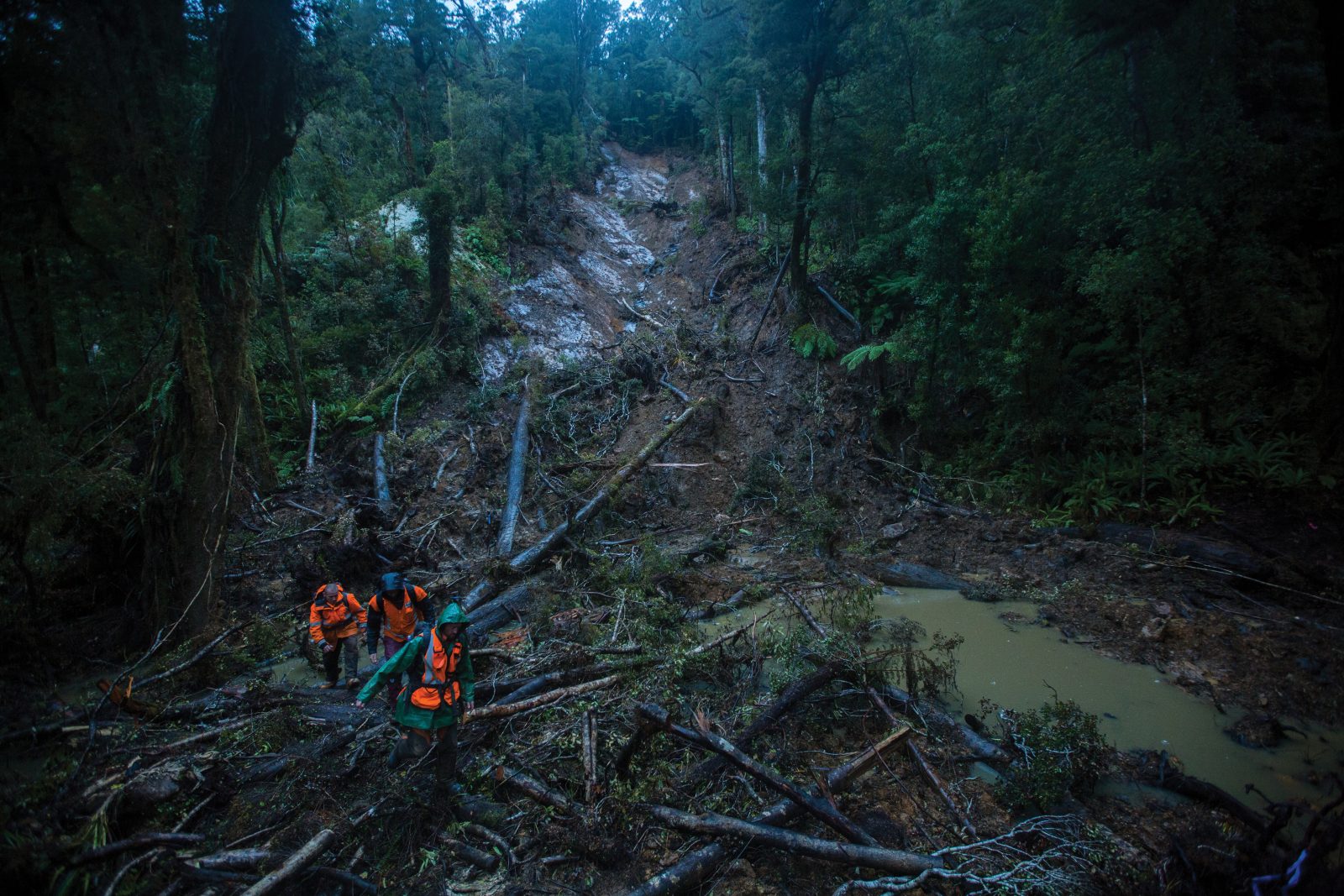 NZGeo153_Paparoa_07