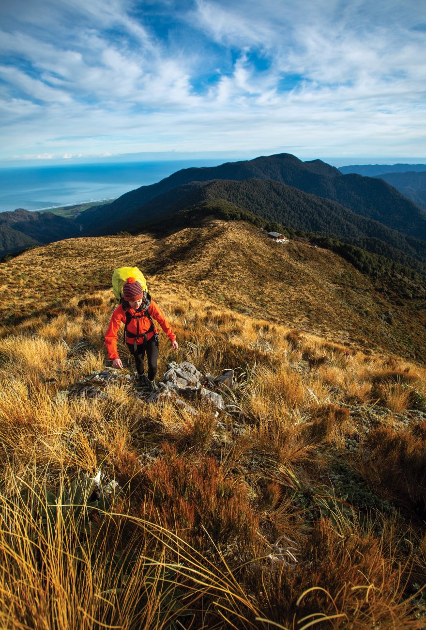 NZGeo153_Paparoa_11