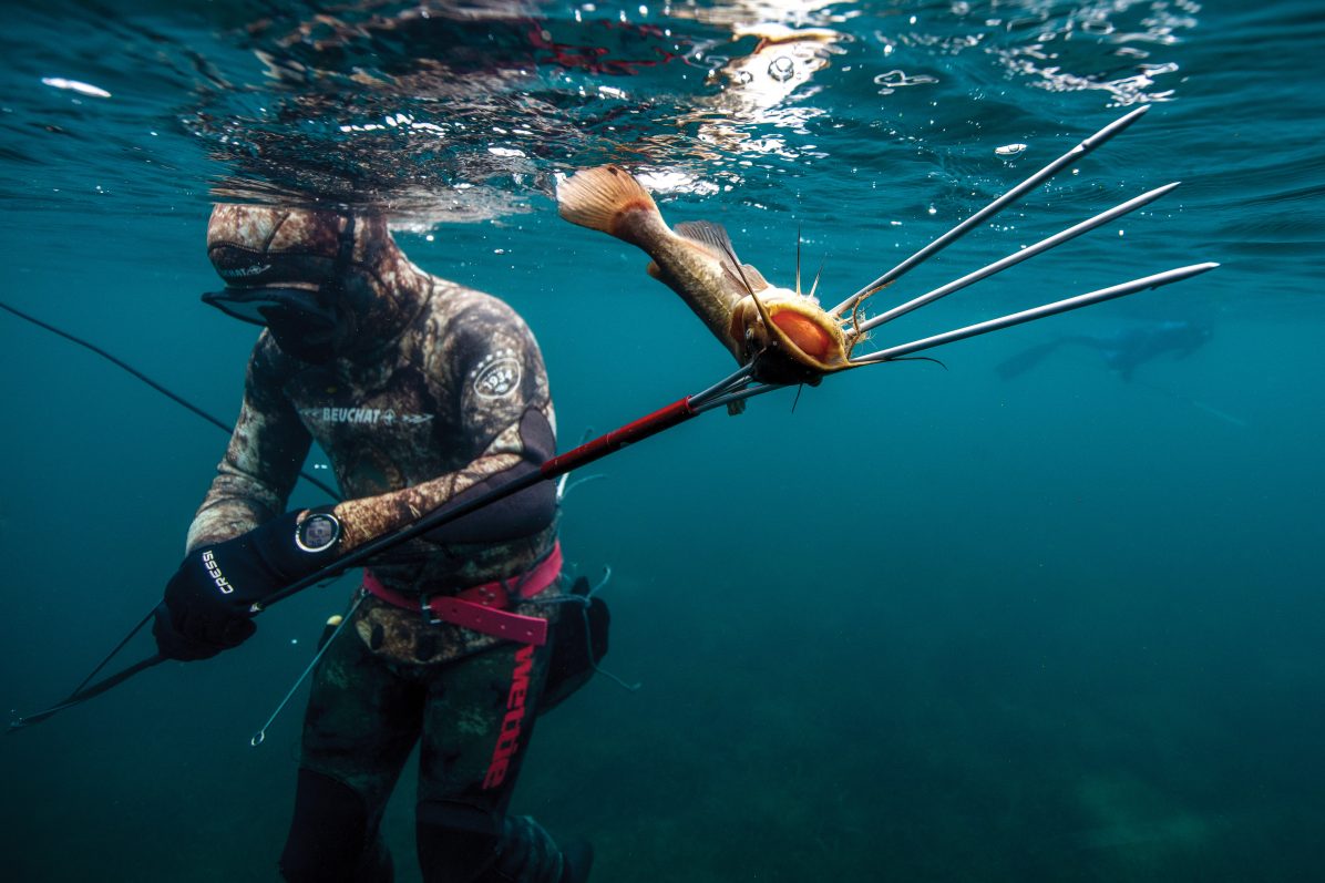 158_catfishing_header