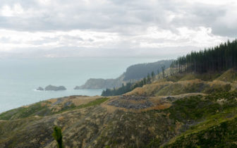 eight_col_97055263_m