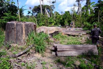 eight_col_Operação_Onda_Verde__2014_(29281985592)