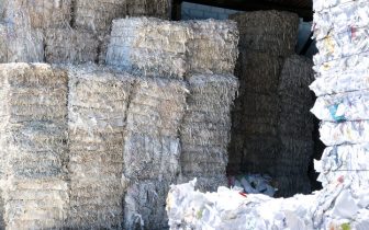 eight_col_24960602_l