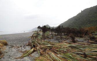 eight_col_7518836128_074A2795